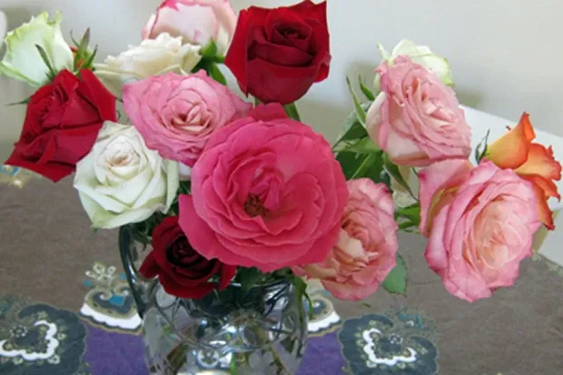 A dozen reasons to love SabbaticalHomes.com!