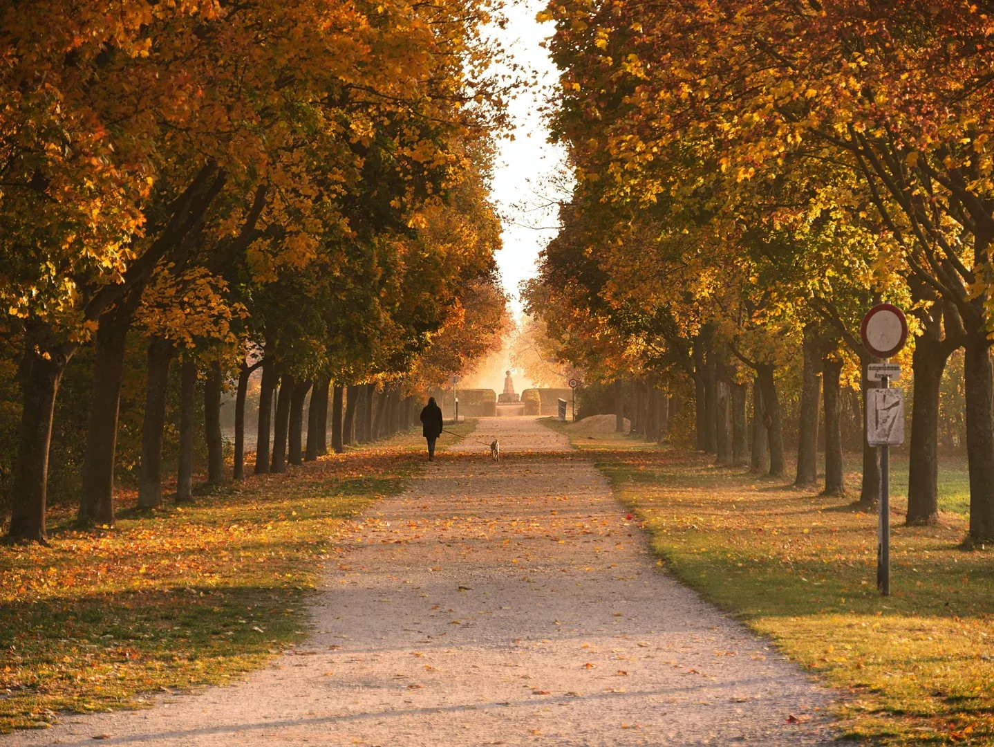 quiet Parisian arrondissement for thesis writing - What are the quietest arrondissements in Paris for writing a thesis; Photo by Michael Pointner
